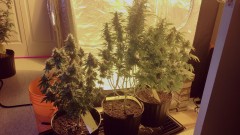 5166074E-A726-4068-B2F6-900BE0671B1F