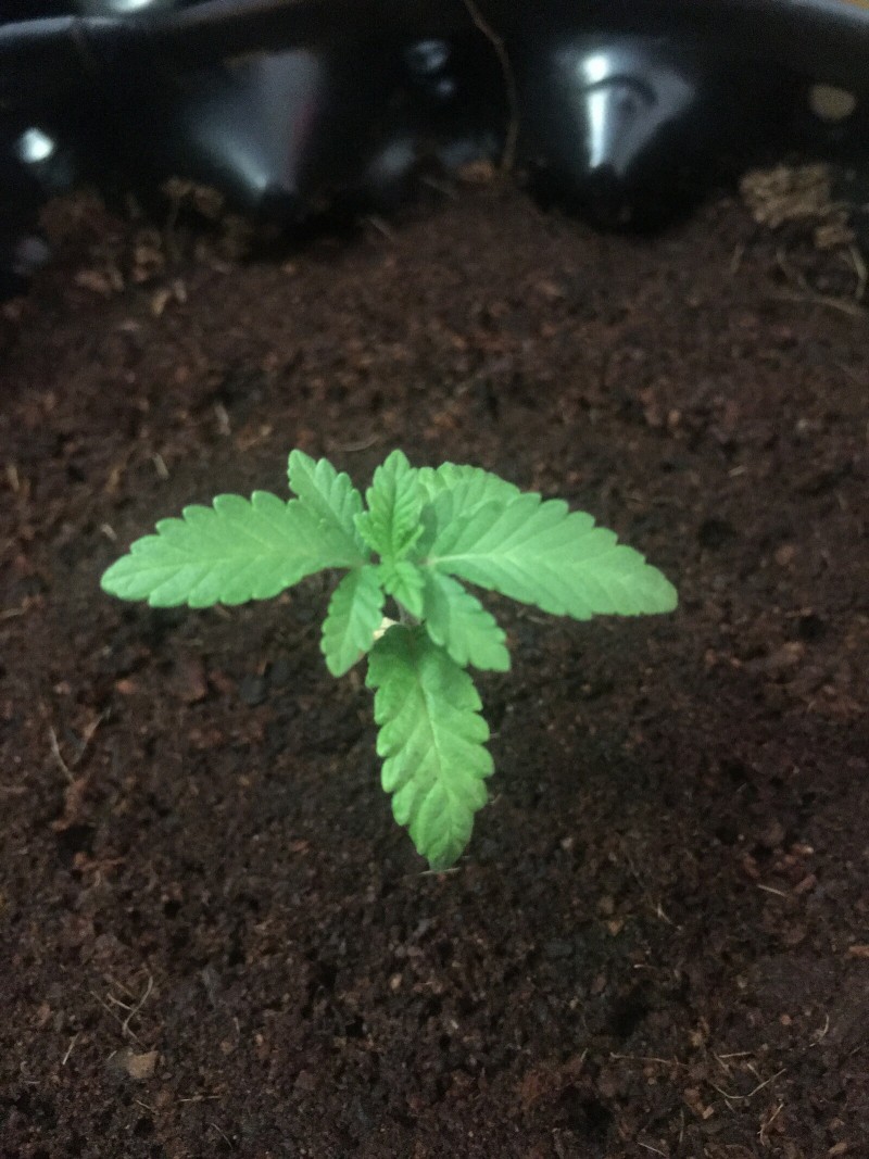 F7BBC7D1-326C-40CD-BD57-E66A88825AD9