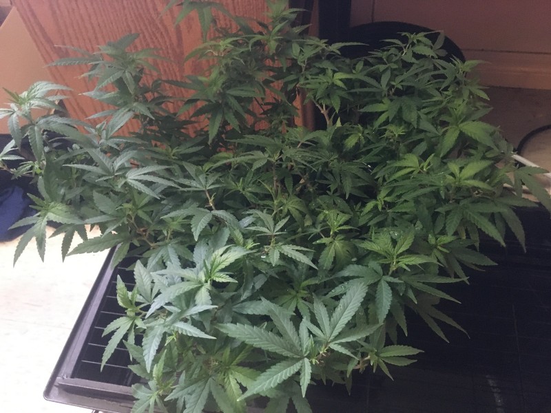 05ADA172-419C-4389-83E7-D443F6E63E81