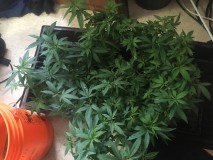 DFF2D185-3003-4CDA-95E8-F074DC988067