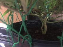 292CE975-F2CA-44BF-BC64-5265AD52C03B