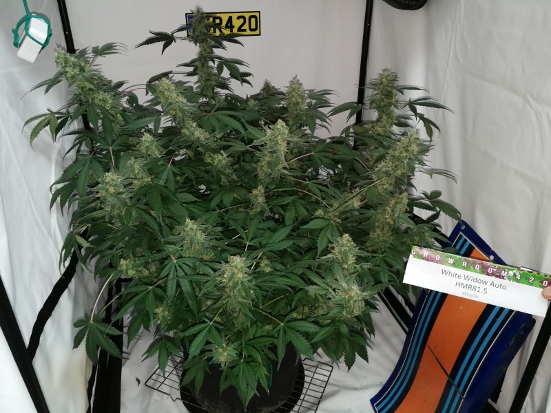 IMG_20200131_221108_