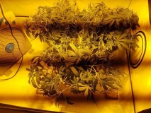 9a5d9a134edf2ce9f70235d2b5d88492