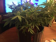 5F868EEA-43A7-4EFE-BA87-FF9C92F3C551