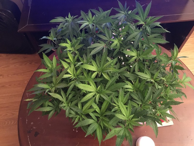 3AF49D12-D60B-4F72-BA4D-0F2DF9CE14CE