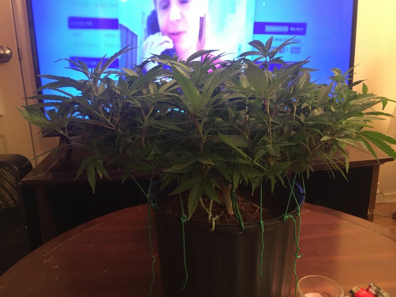 9E9EA0A1-9415-4865-A8DA-45C5F886BD40