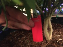 3591C35A-3E1D-4893-8AEE-28A243D3AF61