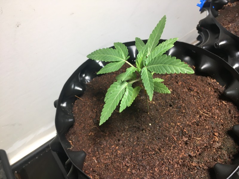 2E3FF461-B9BD-4E93-9433-44F0BB37C392