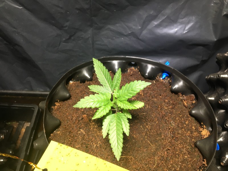 596F912F-B614-4264-B1B2-42E77E13E113