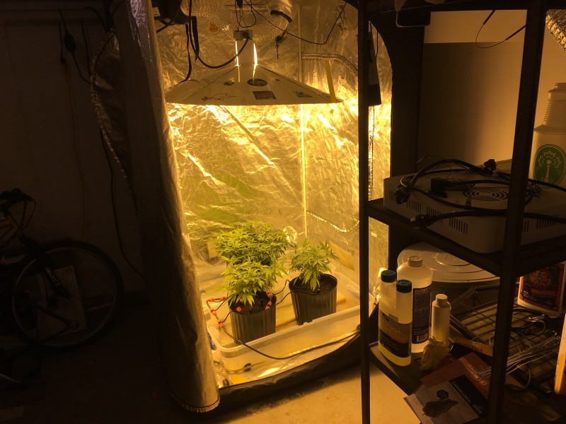 F9690864-E9F0-49F7-9604-1EF45FAE12CA