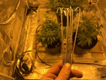 FF9C2254-F558-42E3-86DE-BDCCDB570CA0