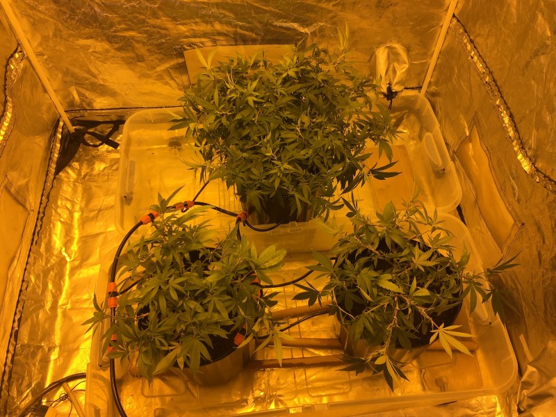 F1E08117-70BC-4FD9-ADE2-953A843B29B9