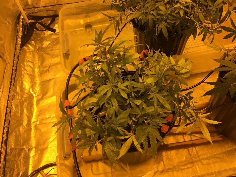 E987F31A-2657-4902-98D8-ED4C7ACE5B8D