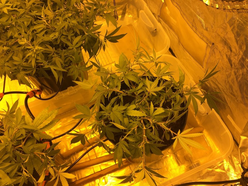 BEE6CE6F-1911-4AD7-AFA3-B13364162C0C