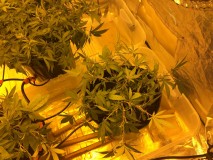 BEE6CE6F-1911-4AD7-AFA3-B13364162C0C