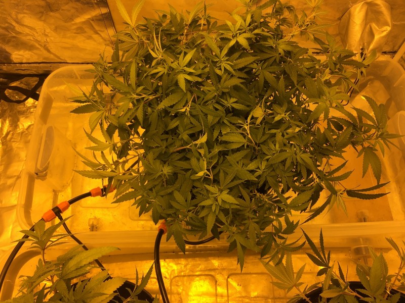 F34D669D-CF55-4B76-ADDD-B591F8D06139