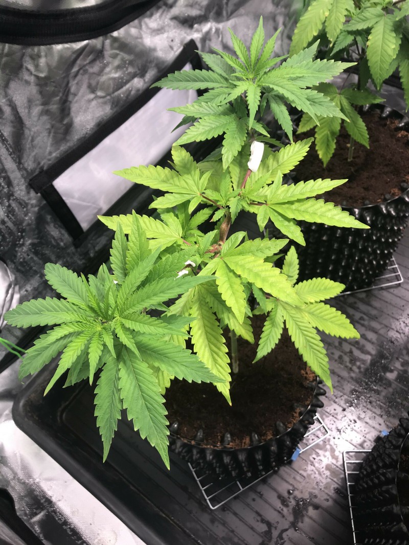 7B9DD329-8319-4164-8DAD-665D966A5E36