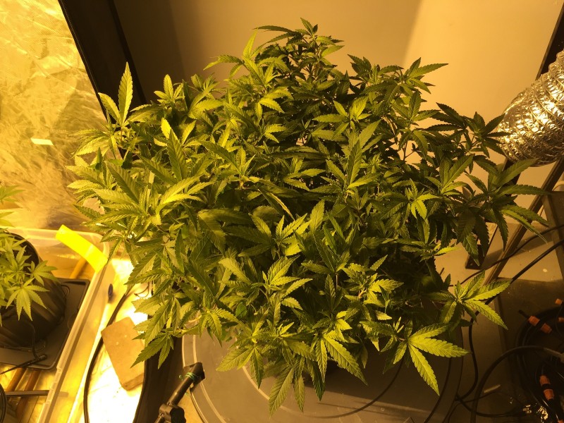 80A10E89-2352-4928-99EB-AD599D3367B3