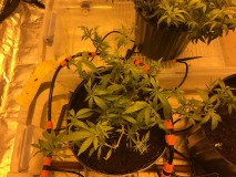 71CFFC59-3799-42E3-B64B-EE4202F79DAC