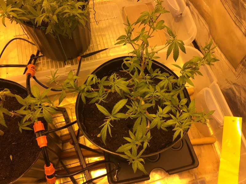 6BE1AC86-9ED4-4B5A-9C91-31040A5AB395