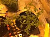 6BE1AC86-9ED4-4B5A-9C91-31040A5AB395