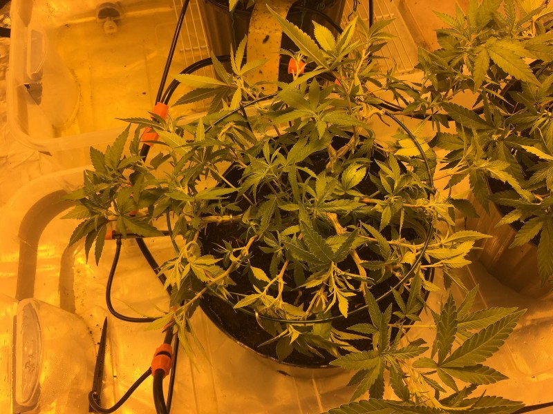 874EFD6F-60D0-4214-B798-A7750AE894D7