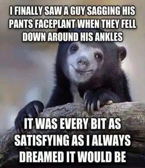 67309771_2394315570889460_6585668986422165504_n