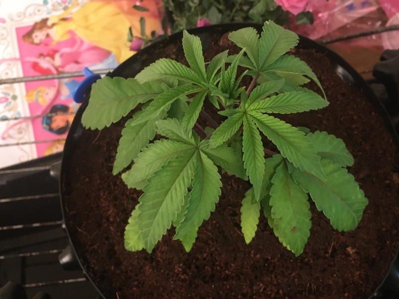 F0652230-7B31-48A1-9DF6-EBE1A7BB2AA6