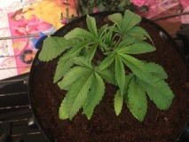 F0652230-7B31-48A1-9DF6-EBE1A7BB2AA6