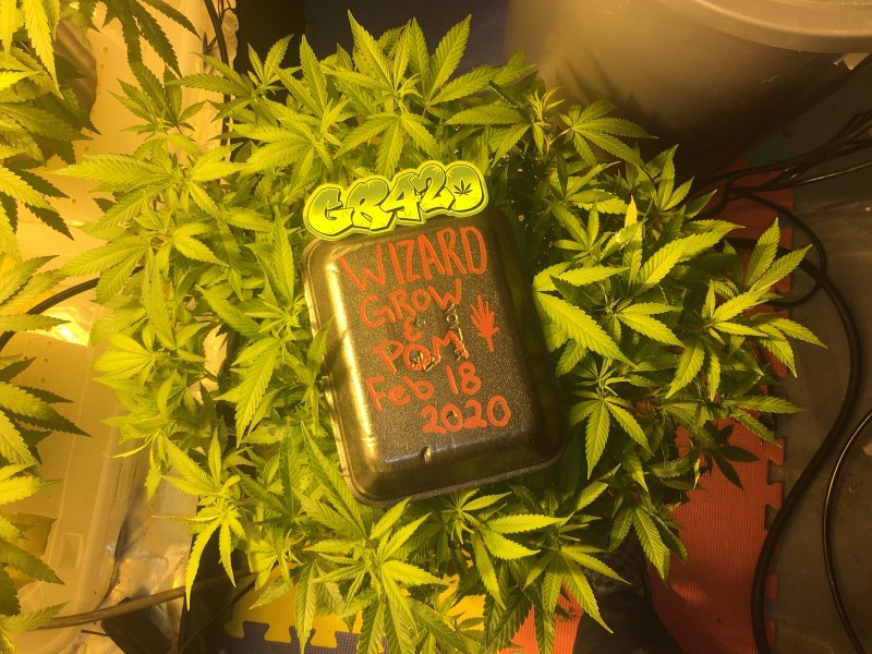 045B7390-9047-47BE-8F1F-597A9201DD81