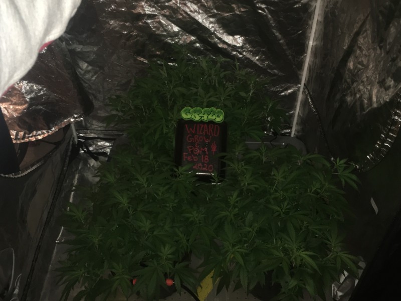 443E91E2-9F30-42CE-A29B-03B172DB2E4C