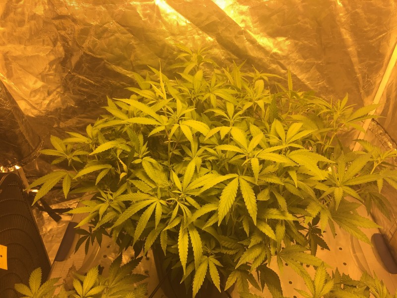 4DCD1EC9-A6FD-453D-9AC0-9D938DC2C32F