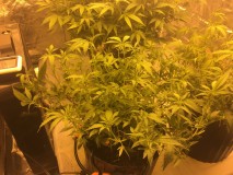 54BEE0AA-0BFB-4313-935B-DC6E6280C421