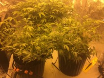 D804959D-E88F-4C94-9465-B21BF8ED2DF4