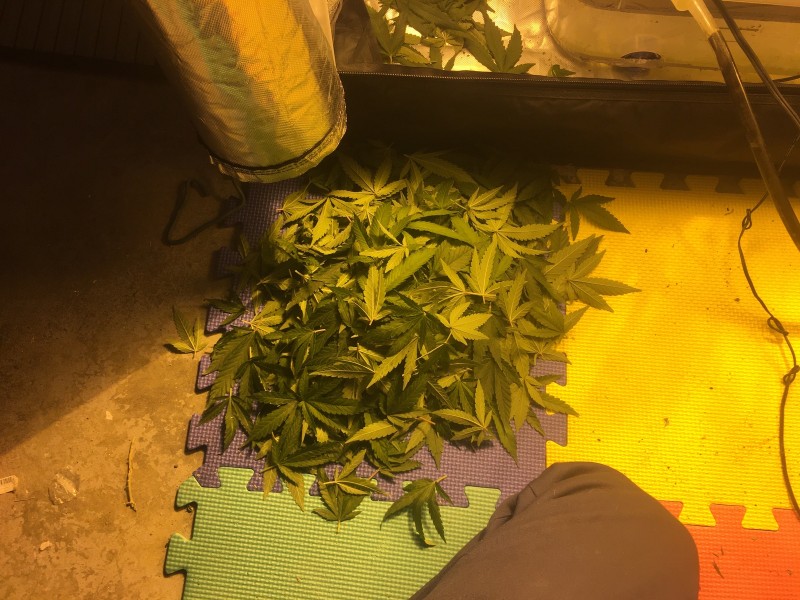 8BCFEA2F-74F6-478D-90BE-BFFCCE697D7E