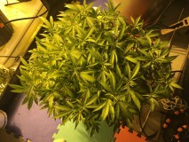 D27AFA2E-38CE-4BAE-9996-76A3EF4E8D53