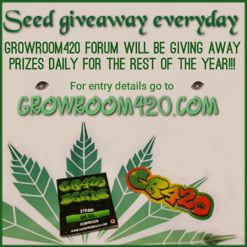 c44198c3-4c94-4261-97ef-07cc5d2004eb