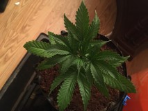 7D24D0FA-9576-48F6-A1DD-C7BFCA5F3D5D