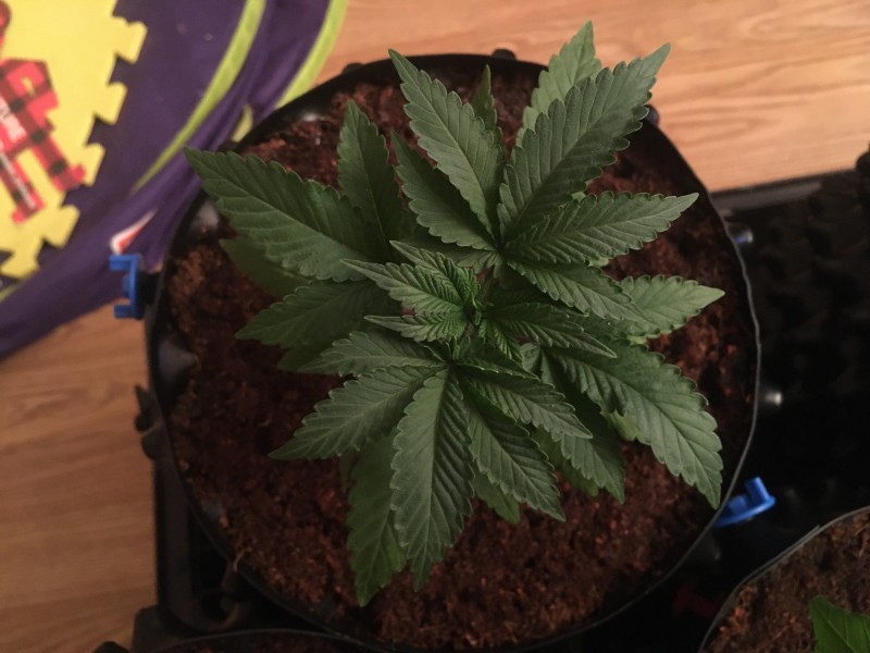 BE780048-8B48-4CF6-8F03-4F722534B159