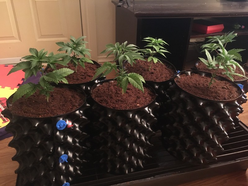 A02D8C9C-841A-4FA0-B464-A04EA9E50CA4