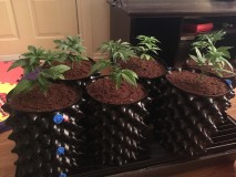 A02D8C9C-841A-4FA0-B464-A04EA9E50CA4