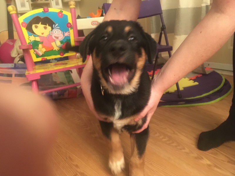 9B5A348F-11A1-4831-8FE1-6E5311BE0812