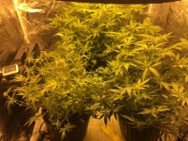 12EF7D2D-C7BE-453A-9C05-0A2B326B1C65