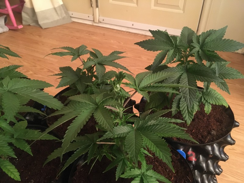 28379F03-7D69-42F4-85AC-01AA1B6C3991