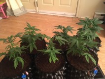 5DDADF4D-D5F9-40D7-8660-4176BCA4FF1C