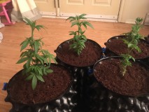 99C571BA-6DEA-46F3-8B95-15FBE38D0AED