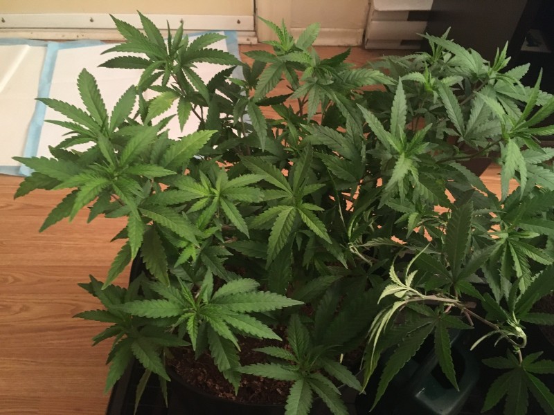 18787170-9D4B-436B-8F3F-FDFCEF4A2EAE