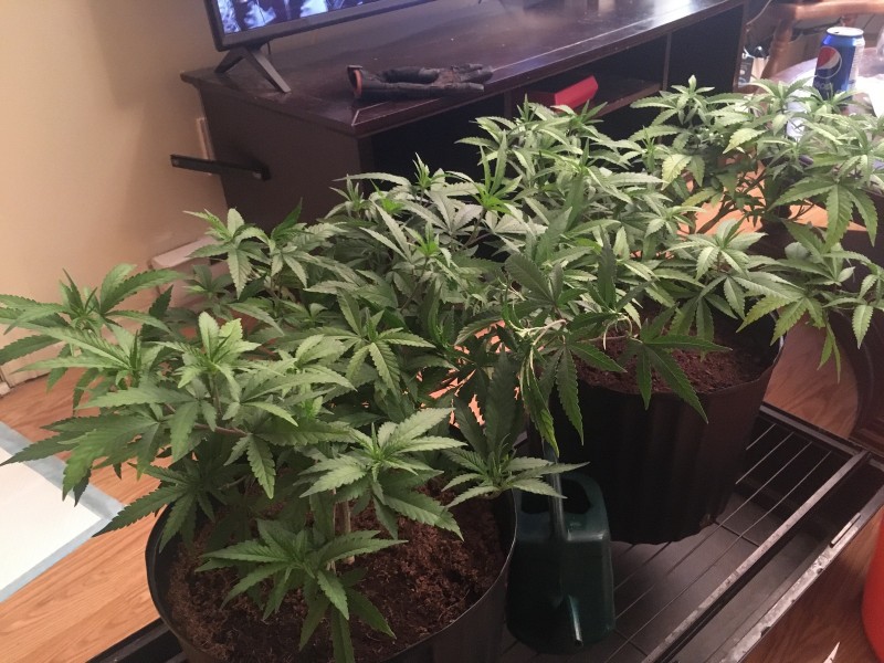 02C56C02-DEFC-4844-8D8A-091487380F1E