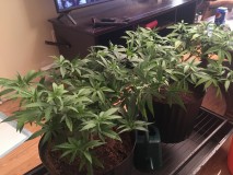 02C56C02-DEFC-4844-8D8A-091487380F1E