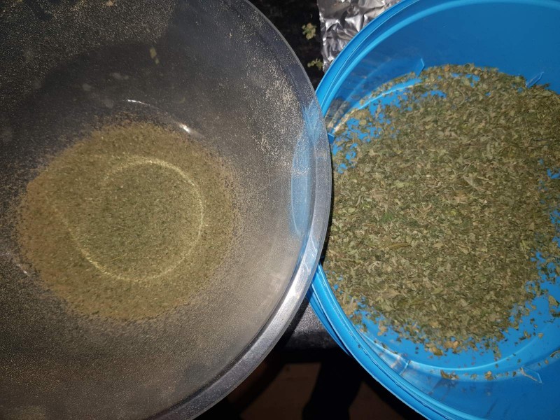 Dry sifted keif stage one comparison